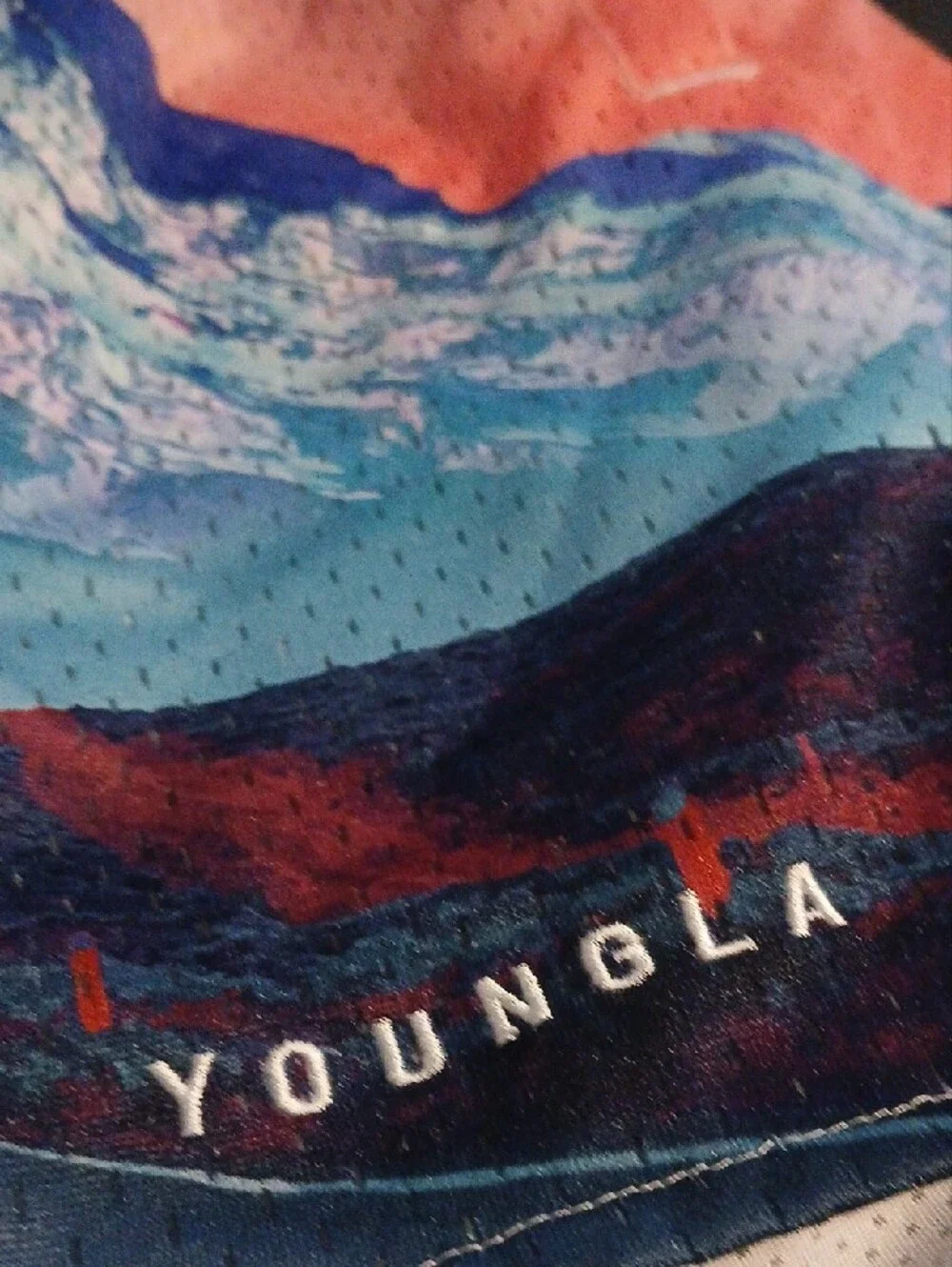 YoungLA 150 After Party Mystic Mountain Mesh Shorts Small Men